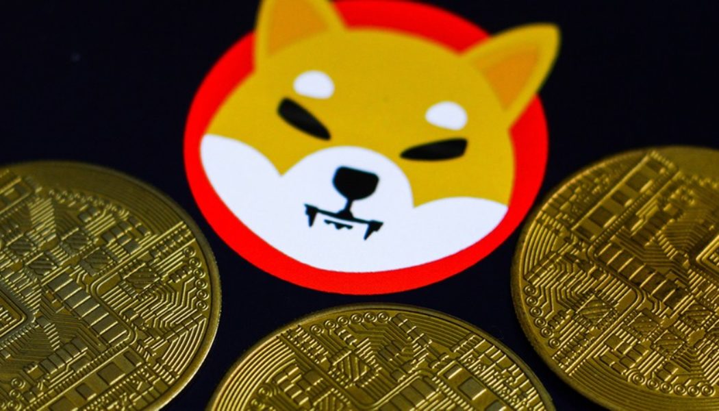 Someone’s Purchase of $8,000 USD Worth of Shiba Inu Coin Last Year Now Worth $6 Billion USD