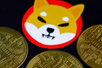 Someone’s Purchase of $8,000 USD Worth of Shiba Inu Coin Last Year Now Worth $6 Billion USD