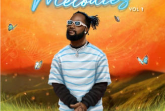 SperoachBeatz ft R2bees – A Vibe