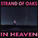 Strand of Oaks Break Down New Album In Heaven Track by Track: Exclusive