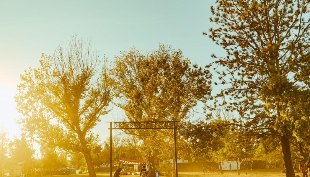 The Irresistible Fun of Dirtybird Campout In 24 Wild Photos