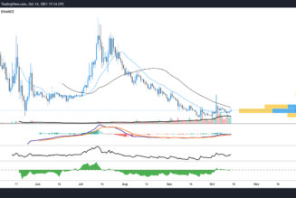 What else is moving as Bitcoin price inches toward a new ATH?