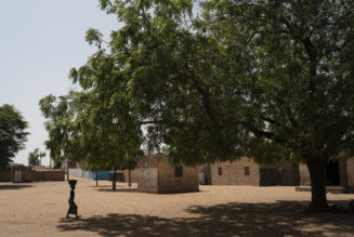 Africa’s ‘Great Green Wall’ shifts focus to hold off desert