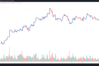 Analysts expect parabolic Bitcoin price move after the ‘last’ resistance at $67K falls