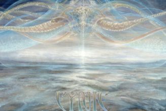 Ascension Codes – CYNIC