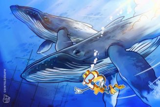 Bitcoin bargain: 3rd-biggest whale address adds 207 BTC at $62K