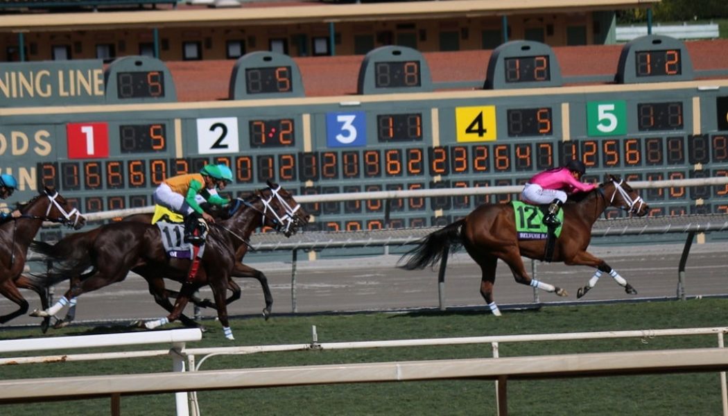 Breeders Cup 2021 Tips – Six Saturday Selections from Stellar Del Mar Card