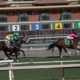 Breeders Cup 2021 Tips – Six Saturday Selections from Stellar Del Mar Card