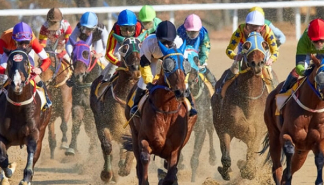 Breeders Cup Tips, Predictions & Preview 2021 – Five Friday Fancies in Juvenile Races