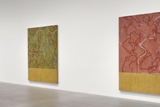 Brice Marden Presents a Series of New Color Map Paintings