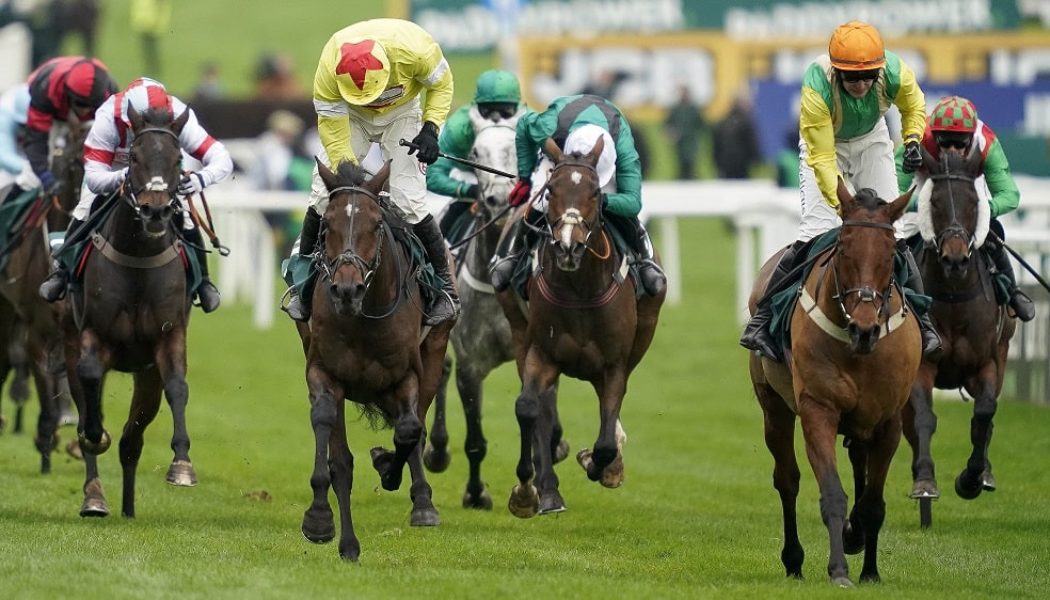 Cheltenham November Meeting 2021 – Five Key Takeaways