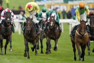 Cheltenham November Meeting 2021 – Five Key Takeaways