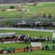 Cheltenham Paddy Power Gold Cup Tips – Four Each Way Plays for Big Race