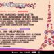 David Guetta, ILLENIUM, Malaa, More to Play Lollapalooza Paris 2022: See the Full Lineup