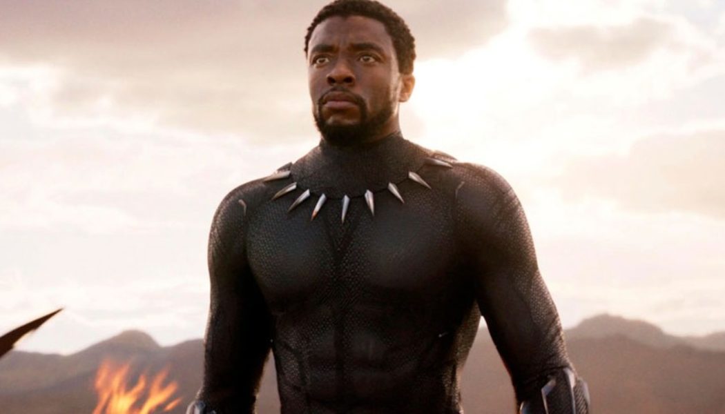 Fans Are Petitioning To Recast T’Challa for the MCU