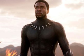 Fans Are Petitioning To Recast T’Challa for the MCU