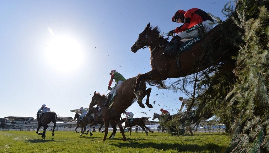 Grand Sefton Chase 2021 Preview, Predictions & Betting Tips – Cat Tiger Well-Treated for Aintree Test