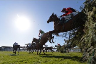 Grand Sefton Chase 2021 Preview, Predictions & Betting Tips – Cat Tiger Well-Treated for Aintree Test