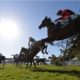 Grand Sefton Chase 2021 Preview, Predictions & Betting Tips – Cat Tiger Well-Treated for Aintree Test