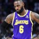 LeBron James Gets Fans Ejected From Arena During Pacers-Lakers Game