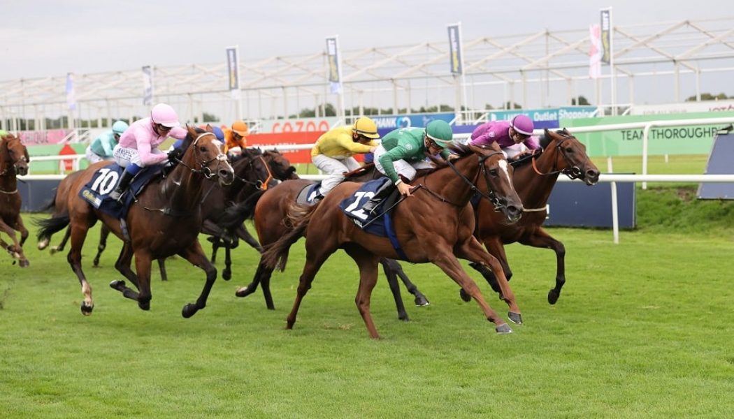 November Handicap 2021 Preview, Predictions & Betting Tips – Three Each Way Plays for Doncaster Finale