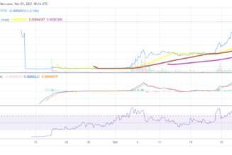 Shiba Inu rallies by 11% in 24 hours. Will it target the all-time high again?