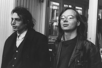 The 10 Best Indie and Alternative Steely Dan Covers