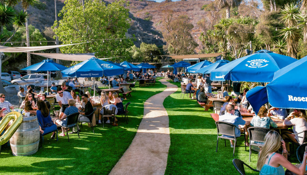 The Time a Quaint Malibu Winery Was Transformed Into a Rave With Zedd