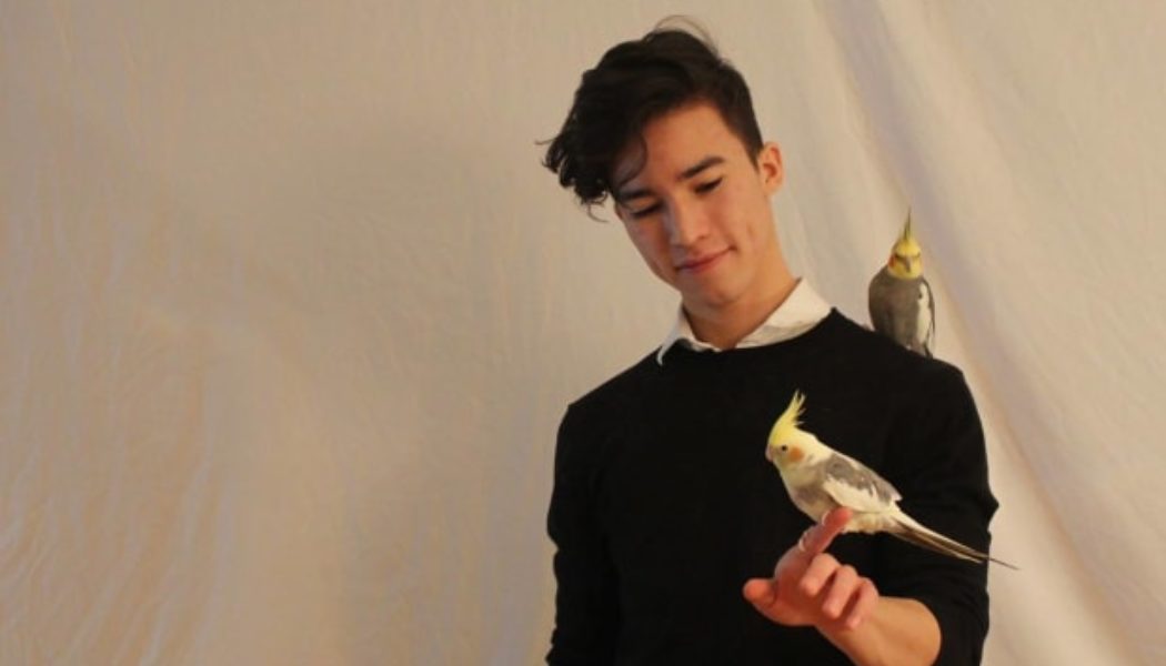 This Electronic Music Producer’s Pet Cockatiel Is the Star of His New Song: Listen