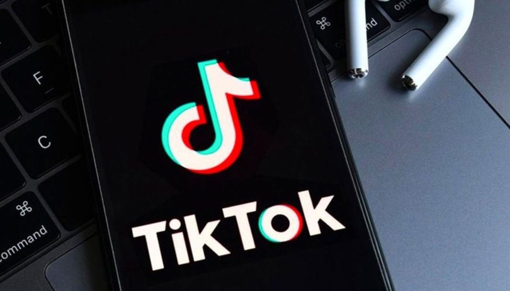 TikTok Is Looking for Ways to Combat Dangerous Viral Challenges and Hoaxes