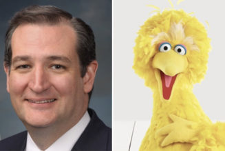 Two Puppets Feud as Ted Cruz Attacks Big Bird Over COVID-19 Vaccine