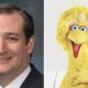 Two Puppets Feud as Ted Cruz Attacks Big Bird Over COVID-19 Vaccine