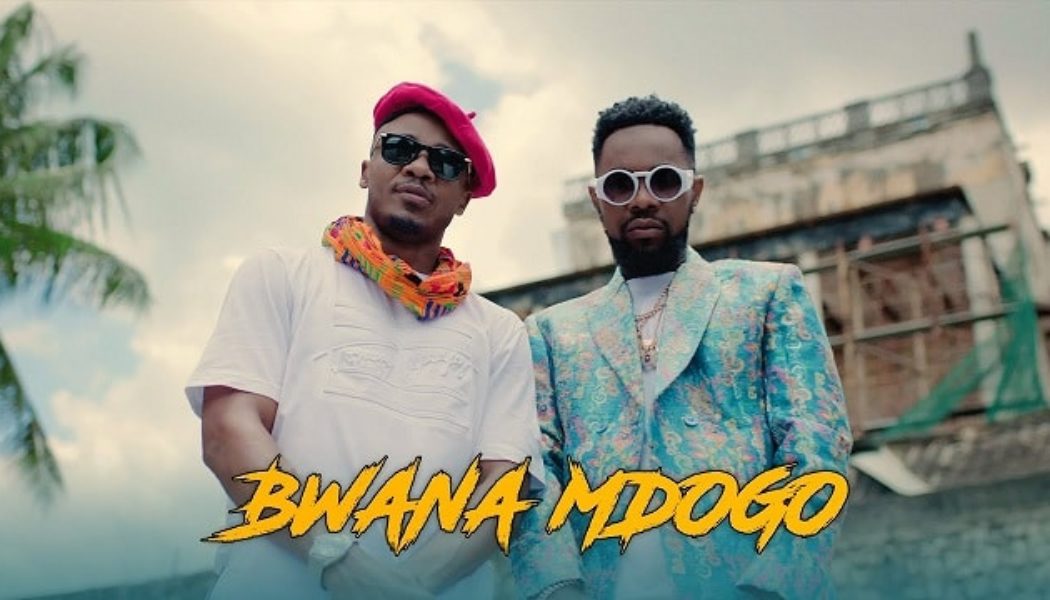 VIDEO: Alikiba – Bwana Mdogo ft. Patoranking