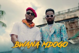 VIDEO: Alikiba – Bwana Mdogo ft. Patoranking