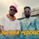 VIDEO: Alikiba – Bwana Mdogo ft. Patoranking