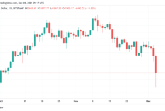 Bitcoin could ‘consolidate until 2022’ after mass wipeout sends BTC price to $41K