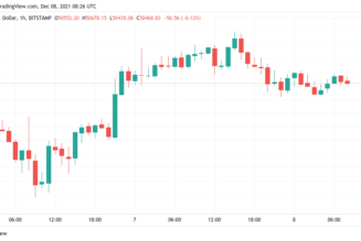 Bitcoin holds $50K as analyst says weekly timeframes confirm bull market remains intact