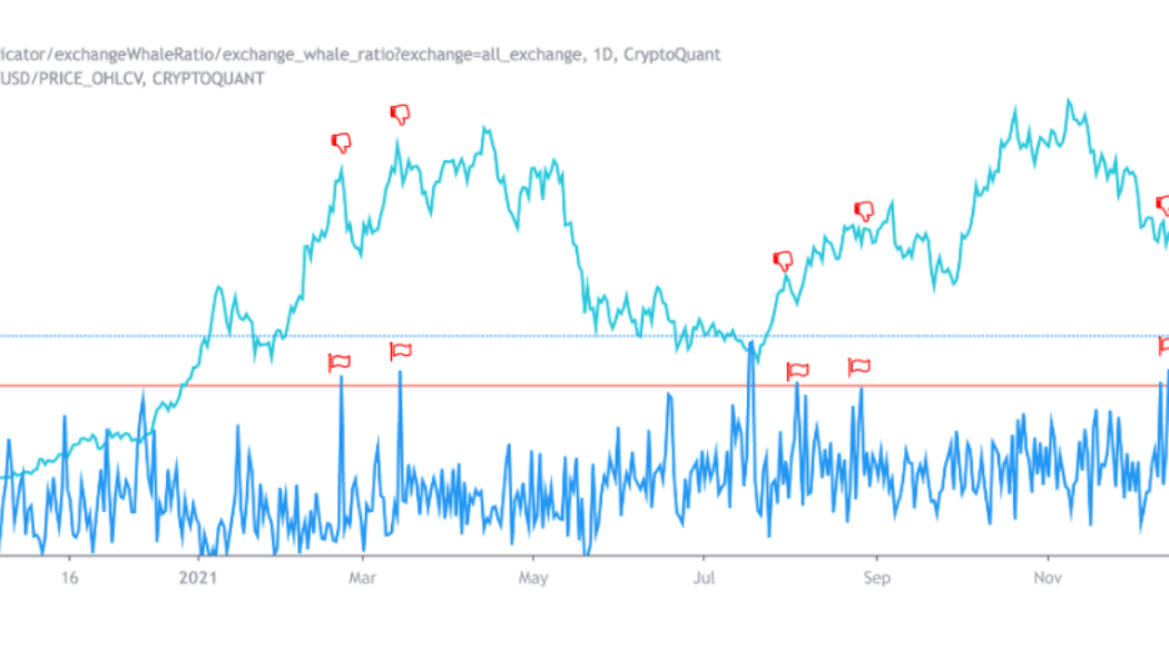 Bitcoin needs to clear $51K to reduce the chance of new sell-off from BTC whales