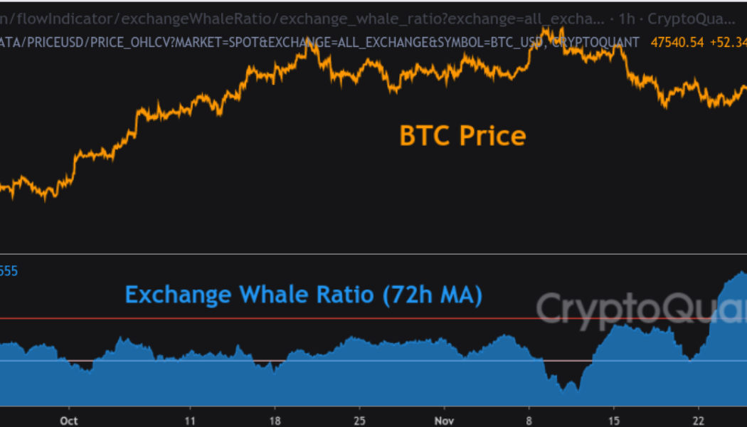 Bitcoin whales move fresh coins to exchanges in repeat of behavior before $42K BTC price dip