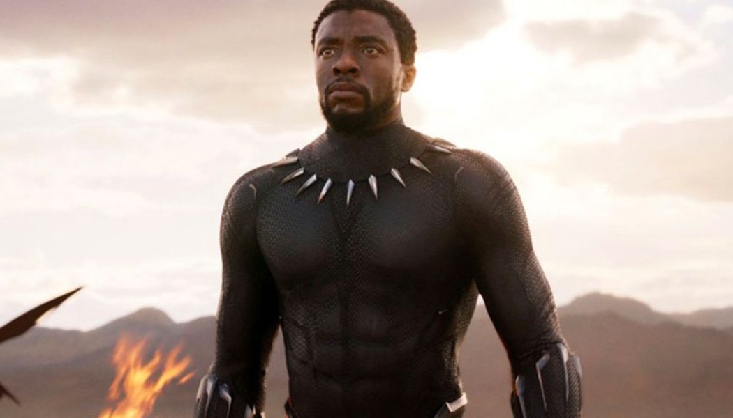 Chadwick Boseman’s Brother Claims That the Late Actor Would Have Wanted Black Panther Recasted