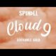 DJ Spinall ft Adekunle Gold – Cloud 9