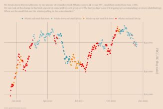 Fish food? Data shows retail investors are buying Bitcoin, whales are selling