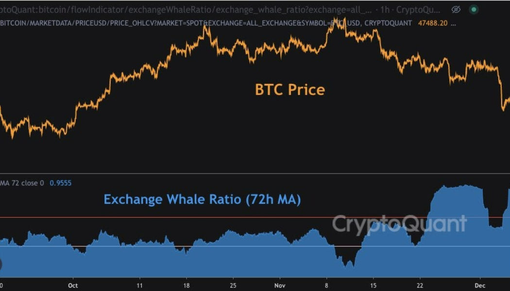 GlobalBlock’s Sales Trader says the recent Bitcoin crash may not be the end of the current bull cycle