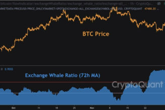 GlobalBlock’s Sales Trader says the recent Bitcoin crash may not be the end of the current bull cycle