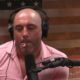 Joe Rogan Recycles Idea Of Michelle Obama Being President For 2024