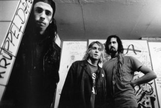 Nirvana Hits Back at Spencer Elden in Nevermind Cover Art Lawsuit