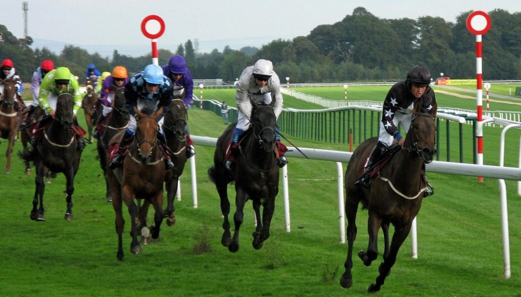 Racing Tips – Each Way Haydock Lucky 15 Tips for 1 December Card