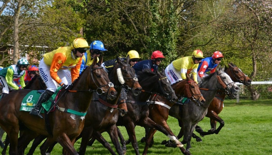 Racing Tips: Friday’s 290/1 Lucky 15 Tips from Exeter & Sandown