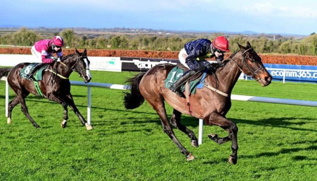 Racing Tips: Lawlors Of Naas Novice Hurdle Tips – Whatdeawant Appeals in Irish Grade 1