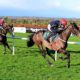 Racing Tips: Lawlors Of Naas Novice Hurdle Tips – Whatdeawant Appeals in Irish Grade 1